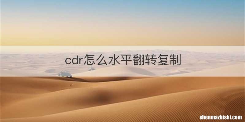 cdr怎么水平翻转复制