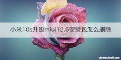 小米10s升级miui12.5安装包怎么删除