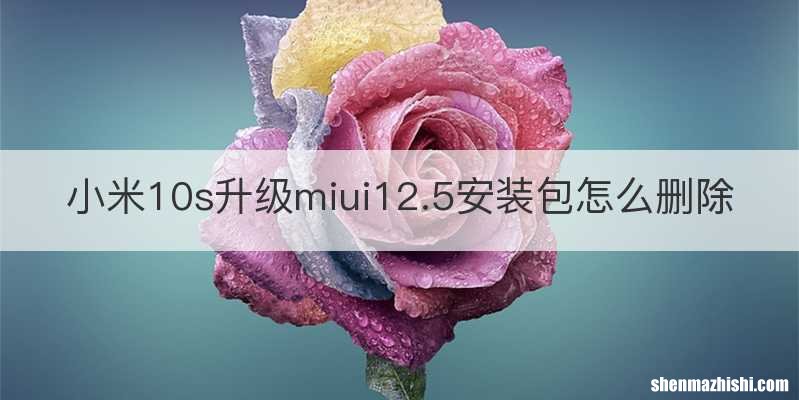 小米10s升级miui12.5安装包怎么删除