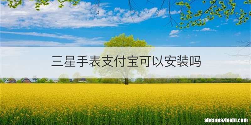 三星手表支付宝可以安装吗