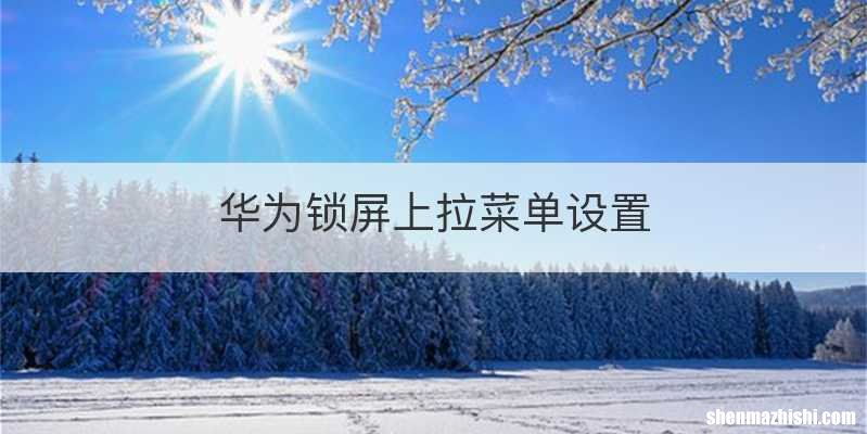 华为锁屏上拉菜单设置