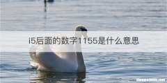 i5后面的数字1155是什么意思
