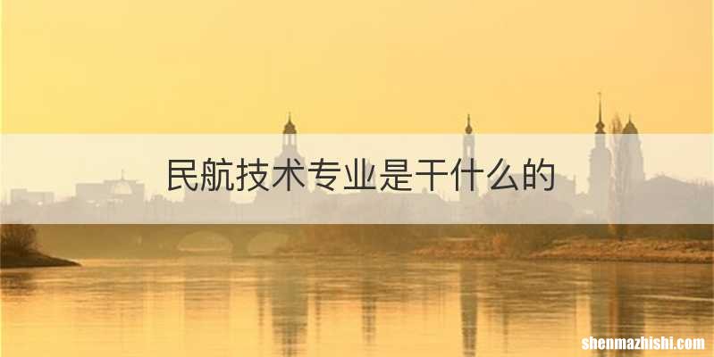 民航技术专业是干什么的