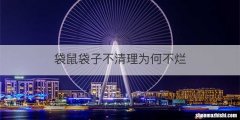 袋鼠袋子不清理为何不烂