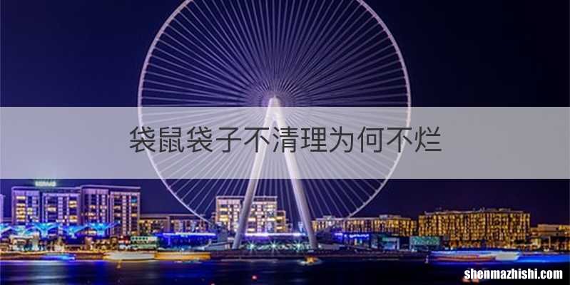 袋鼠袋子不清理为何不烂