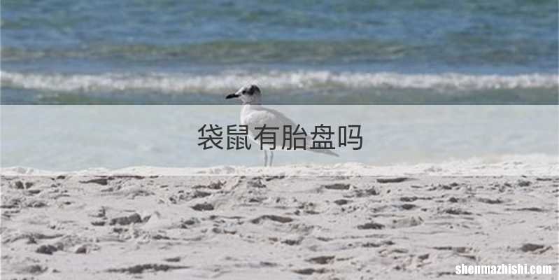 袋鼠有胎盘吗