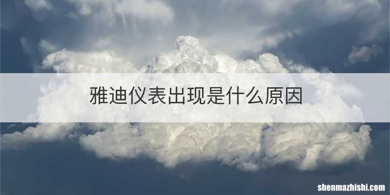 雅迪仪表出现是什么原因