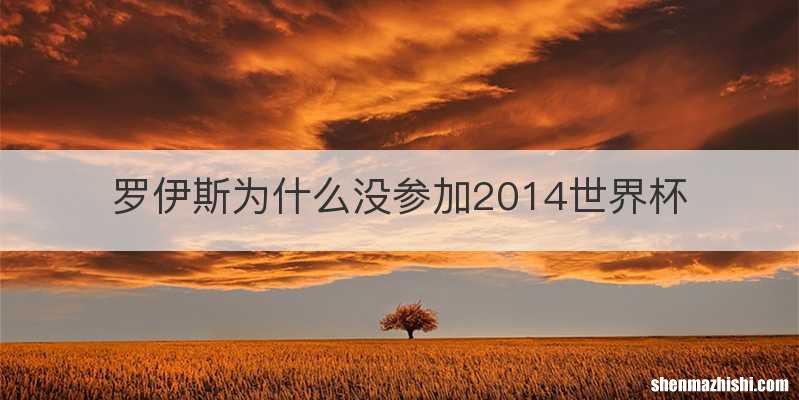 罗伊斯为什么没参加2014世界杯