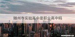 随州市实验高中是职业高中吗
