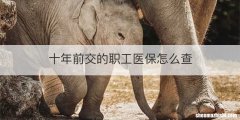十年前交的职工医保怎么查