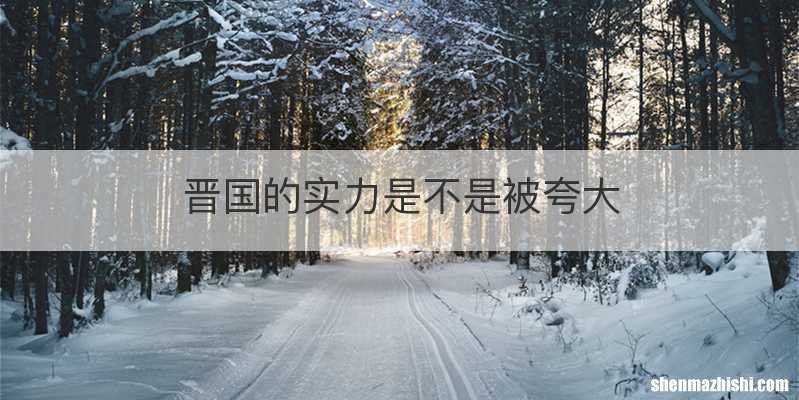 晋国的实力是不是被夸大