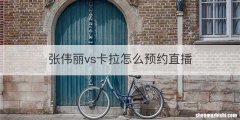 张伟丽vs卡拉怎么预约直播