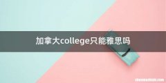 加拿大college只能雅思吗