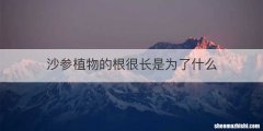 沙参植物的根很长是为了什么
