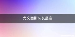 尤文图斯队长是谁