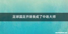 足球国足开除我成了中场大师