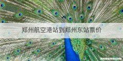 郑州航空港站到郑州东站票价