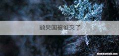颛臾国被谁灭了