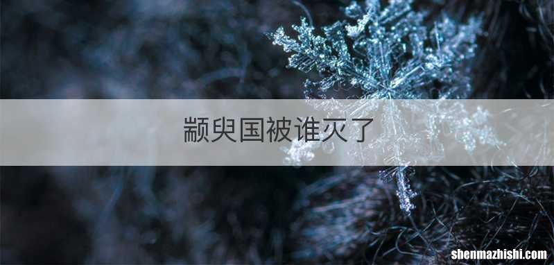 颛臾国被谁灭了