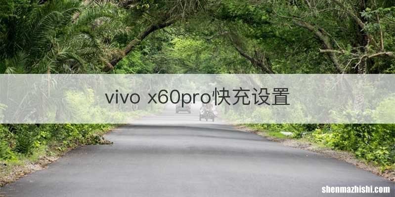vivo x60pro快充设置