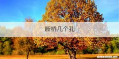 断桥几个孔