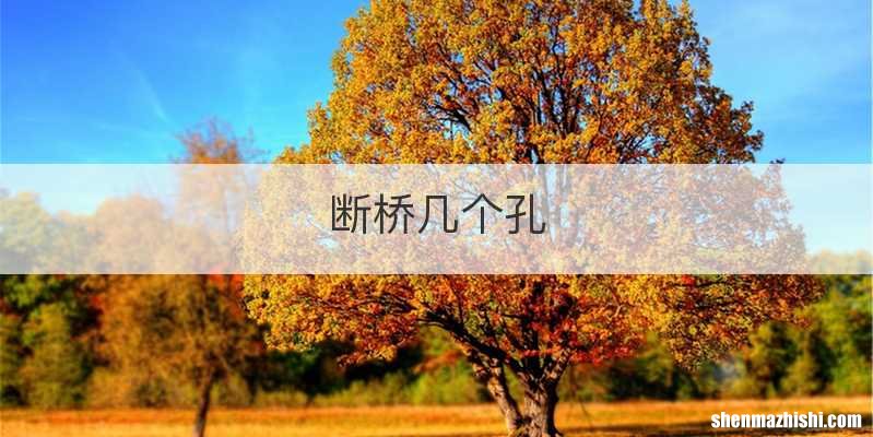 断桥几个孔