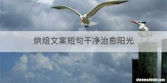 烘焙文案短句干净治愈阳光