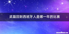 武磊回到西班牙人是哪一年的比赛
