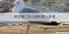 绝世唐门马小姚的爱人是谁