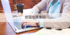 楚国有赂秦吗