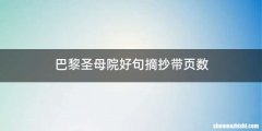 巴黎圣母院好句摘抄带页数