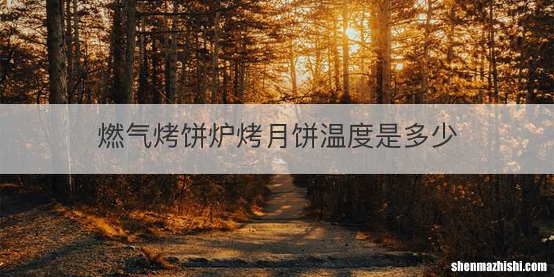 燃气烤饼炉烤月饼温度是多少