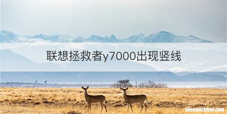 联想拯救者y7000出现竖线