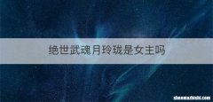 绝世武魂月玲珑是女主吗