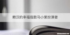 赖汉的幸福指数马小棠扮演者