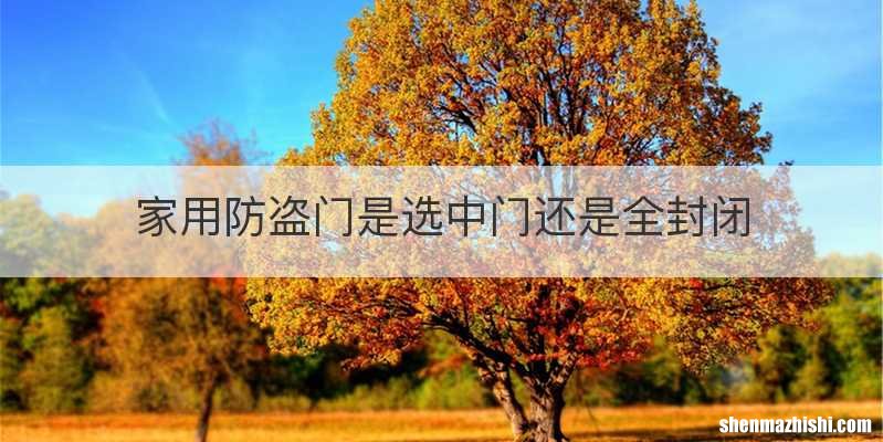家用防盗门是选中门还是全封闭
