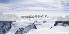 dnaal00是什么机