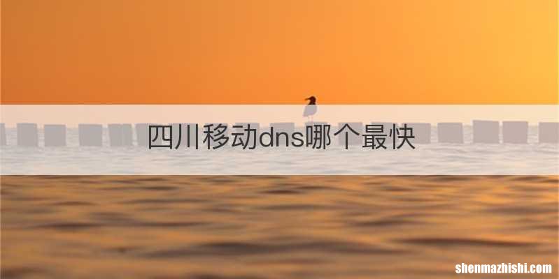 四川移动dns哪个最快