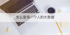 怎么查询一个人的大数据