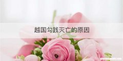 越国勾践灭亡的原因