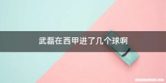 武磊在西甲进了几个球啊