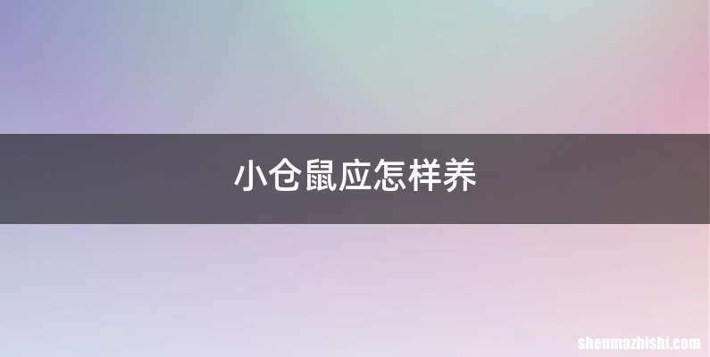 小仓鼠应怎样养