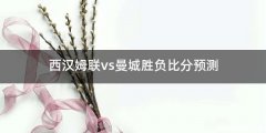 西汉姆联vs曼城胜负比分预测