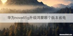 华为nova65g升级鸿蒙哪个版本省电