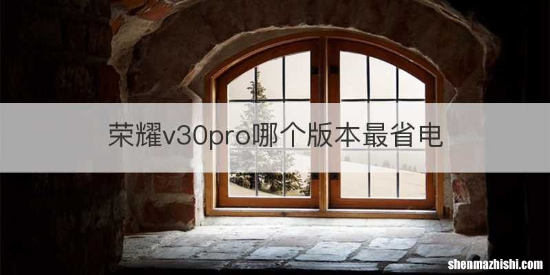 荣耀v30pro哪个版本最省电