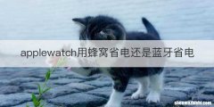 applewatch用蜂窝省电还是蓝牙省电