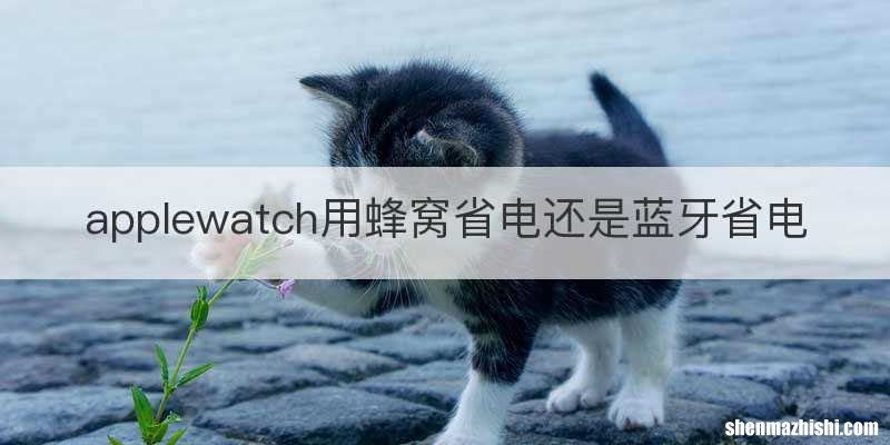 applewatch用蜂窝省电还是蓝牙省电