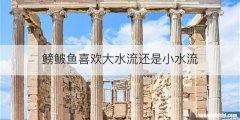 鳑鲏鱼喜欢大水流还是小水流