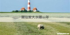 潮汕发大水哪一年