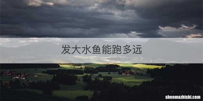发大水鱼能跑多远